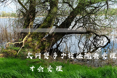 欠网贷多少钱法院会受理(网贷欠多少钱法院才会受理)