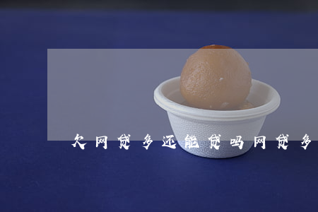 欠网贷多还能贷吗(网贷多了还可以贷款吗)