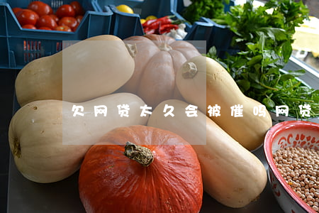 欠网贷太久会被催吗(网贷会催款吗)