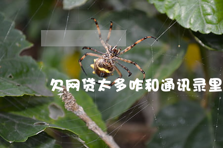 欠网贷太多咋和通讯录里的人说