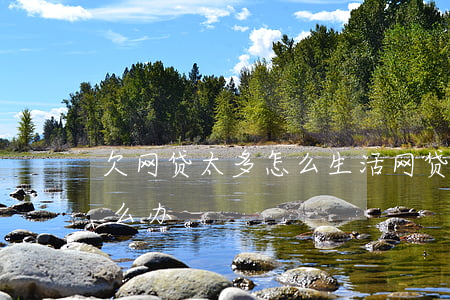 欠网贷太多怎么生活(网贷欠的钱越来越多怎么办)