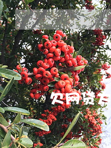 欠网贷太多怎么用法律保护自己-
