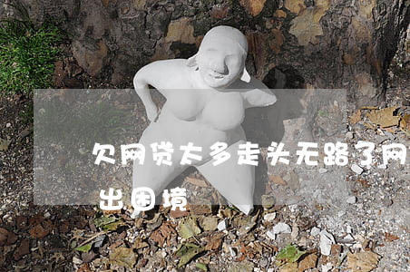 欠网贷太多走头无路了(网贷欠款太多如何走出困境)