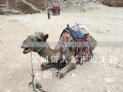欠网贷太多走投无路了(欠了二十万网贷走投无路了)