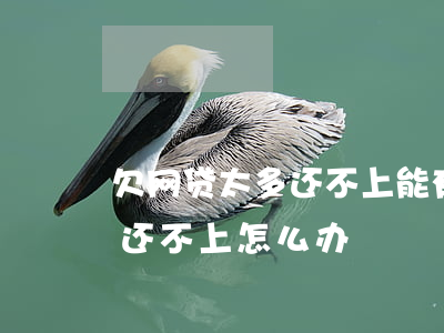 欠网贷太多还不上能有什么办法(欠网贷太多还不上怎么办)