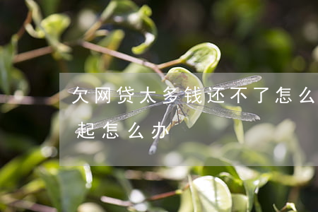 欠网贷太多钱还不了怎么办(欠很多网贷还不起怎么办?)