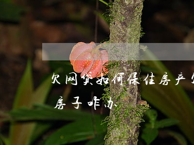欠网贷如何保住房产(欠网贷无力偿还名下的房子咋办)