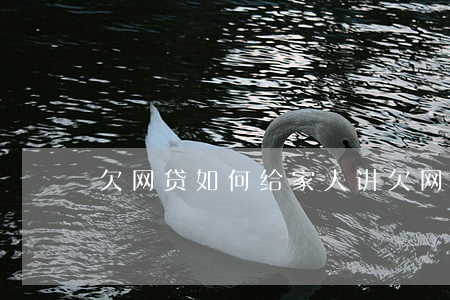 欠网贷如何给家人讲(欠网贷怎么告诉家人)