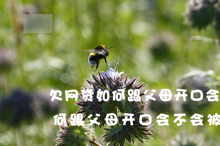 欠网贷如何跟父母开口会不会被骂(欠网贷如何跟父母开口会不会被骂)