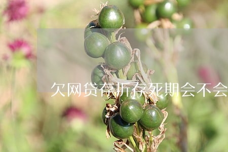 欠网贷存折存死期会不会有危险-