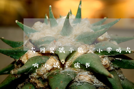欠网贷孩子能上小学吗(欠网贷没还会不会影响小孩子读书)