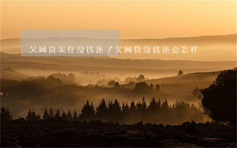 欠网贷实在没钱还了(欠网贷没钱还会怎样)