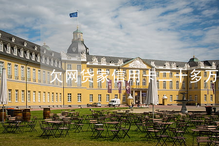 欠网贷家信用卡二十多万判几年-