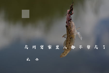 欠网贷家里人都不帮(欠了网贷家人不帮忙怎么办)