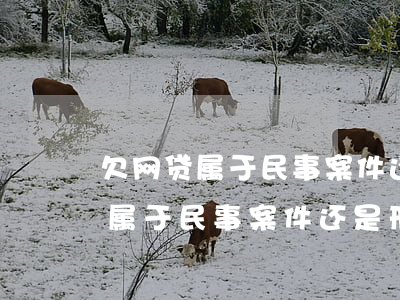 欠网贷属于民事案件还是刑事案件-欠网贷属于民事案件还是刑事案件呢