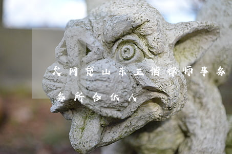 欠网贷山东正谐律师事务所(山东正谐律师事务所合伙人)