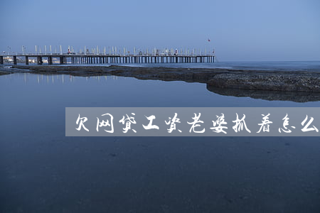 欠网贷工资老婆抓着怎么办(欠网贷怎么办)
