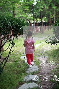 欠网贷平台倒闭了怎么办(倒闭网贷平台欠款不还怎样?)