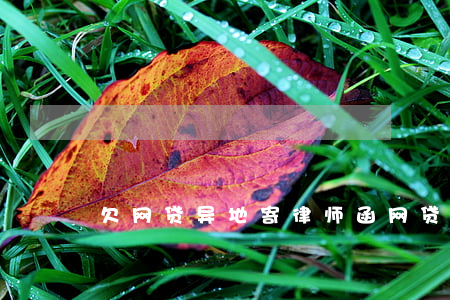 欠网贷异地寄律师函(网贷往老家寄律师函)