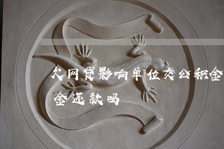 欠网贷影响单位交公积金吗(欠网贷能用公积金还款吗)