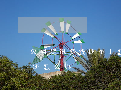 欠网贷很多钱还不上怎么办(网贷欠多了没钱还怎么办)