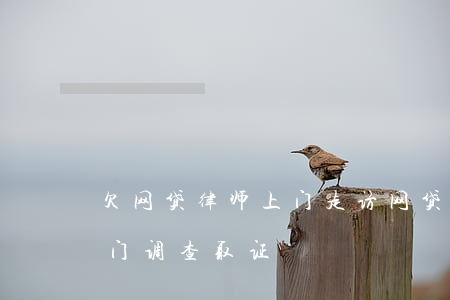 欠网贷律师上门走访(网贷逾期律师事务所上门调查取证)