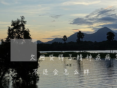 欠网贷得了精神疾病怎么办(精神病欠了网贷不还会怎么样)