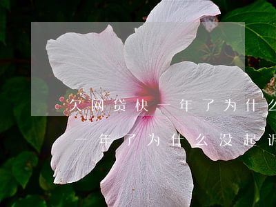 欠网贷快一年了为什么没起诉我-欠网贷快一年了为什么没起诉我呢