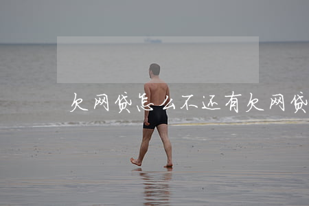 欠网贷怎么不还(有欠网贷不还的吗)