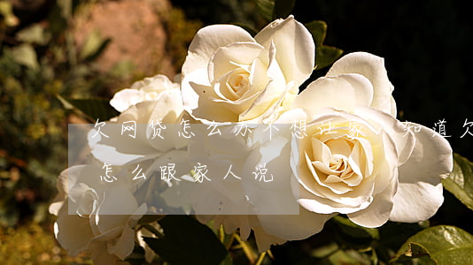 欠网贷怎么办不想让家人知道(欠网贷不知道怎么跟家人说)