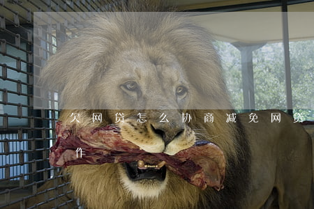 欠网贷怎么协商减免(网贷协商减免后怎么操作)