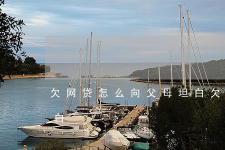 欠网贷怎么向父母坦白(欠网贷怎么跟父母坦白)