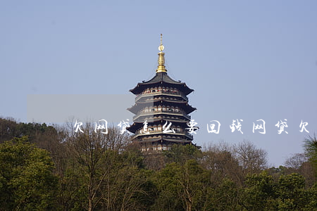 欠网贷怎么要回钱(网贷欠钱怎么还)