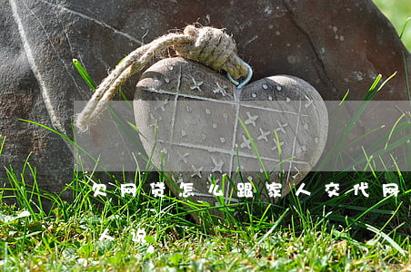 欠网贷怎么跟家人交代(网贷欠钱怎么和家里人说)