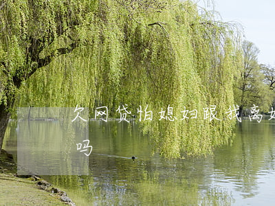 欠网贷怕媳妇跟我离婚(老公欠网贷老婆要还吗)