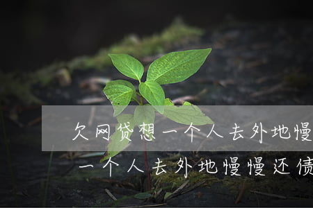 欠网贷想一个人去外地慢慢还债-欠网贷想一个人去外地慢慢还债可以吗