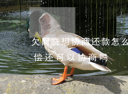 欠网贷想协商还款怎么处理好(网贷欠款无力偿还可以协商吗)
