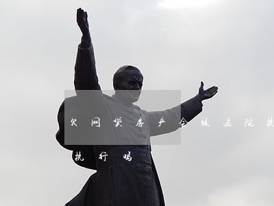 欠网贷房产会被法院执行吗(欠网贷房子会被执行吗)