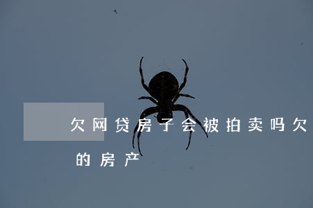 欠网贷房子会被拍卖吗(欠网贷会不会拍卖我的房产)