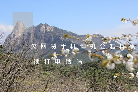 欠网贷手机停机会怎样(手机停机了网贷会继续打电话吗)