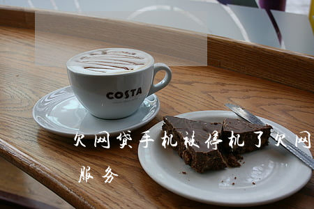 欠网贷手机被停机了(欠网贷手机号码被暂停服务)