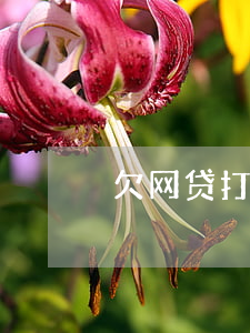 欠网贷打通讯录违法吗(欠网贷会打通讯录吗)
