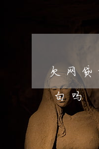 欠网贷找老婆还是父母(欠了网贷该和父母坦白吗)