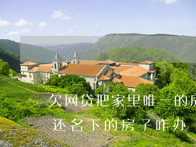 欠网贷把家里唯一的房子卖了(欠网贷无力偿还名下的房子咋办)