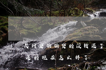 欠网贷拍拍贷的没钱还了(拍拍贷的钱一直没还的现在怎么样了)