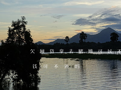 欠网贷拿去赌博可以不还吗(网贷用来赌博的钱可不还吗)