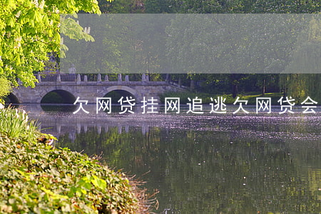 欠网贷挂网追逃(欠网贷会挂网逃吗)