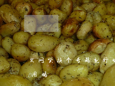 欠网贷换个号码就行吗(网贷欠款换手机号有用吗)