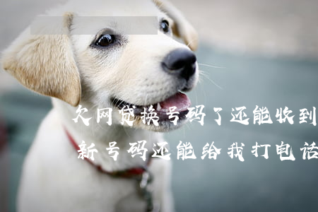 欠网贷换号码了还能收到传票吗(欠网贷换了新号码还能给我打电话吗)