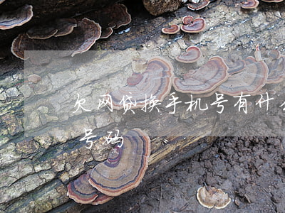 欠网贷换手机号有什么后果(网贷不还换手机号码)